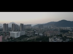 Frentes de cinturón